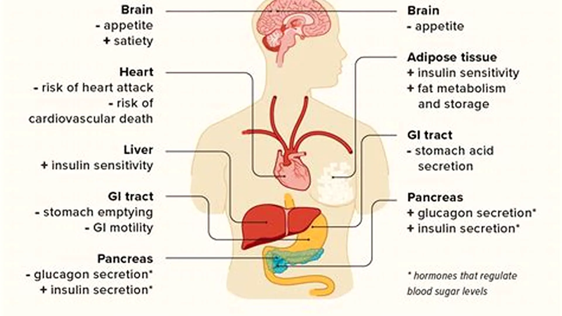 GLP-1 medication overview banner showing common injectable and oral options
