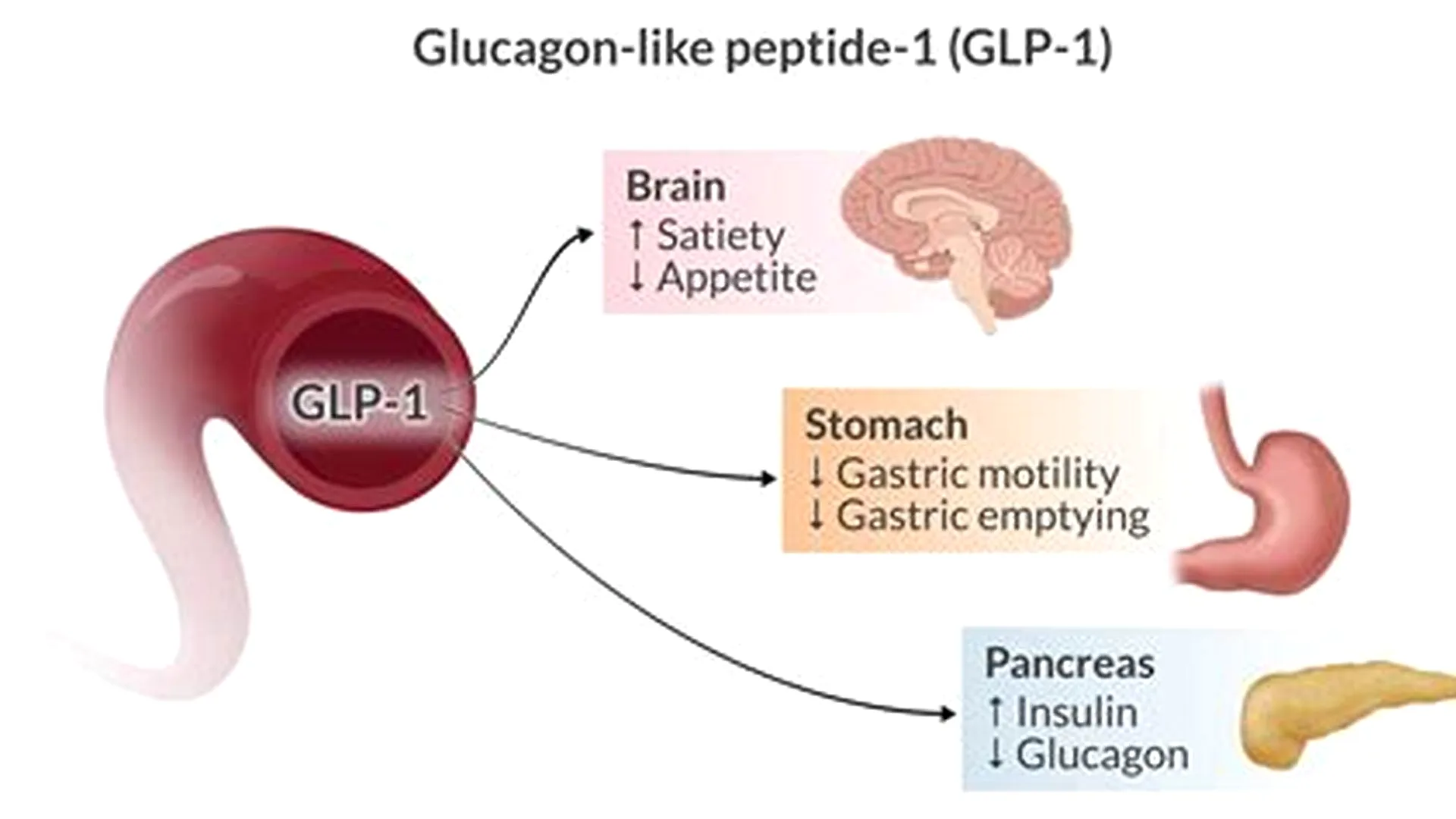 GLP-1 medical clinic locator overview
